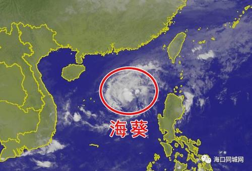 海葵是几级风?海南省台风多少级不能-图2 海葵是几级风?海南省台风多少级不能-图2