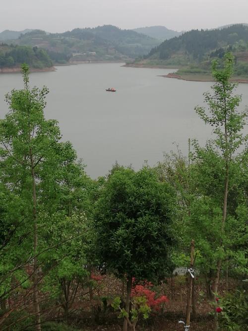想知道: 眉山市,从眉山市东坡区林业局到仁寿县黑龙滩风景区财政局怎么坐公交?黑龙滩到眉山多少公里-图2 想知道: 眉山市,从眉山市东坡区林业局到仁寿县黑龙滩风景区财政局怎么坐公交?黑龙滩到眉山多少公里-图2