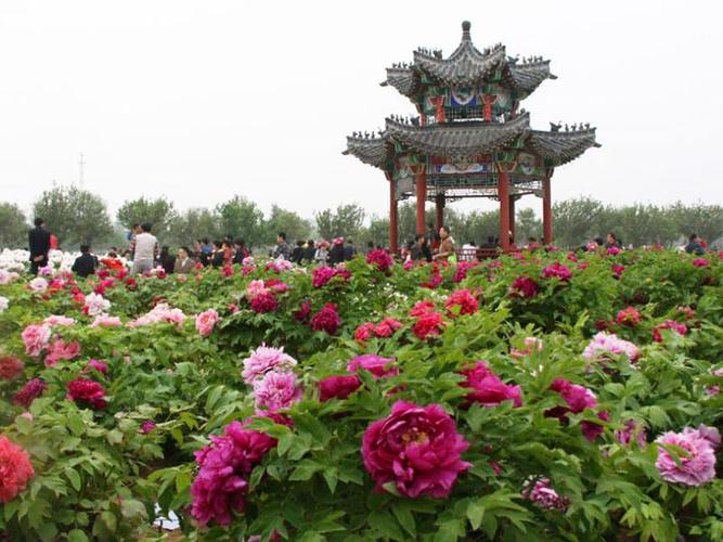 菏澤这地方春节主前的礼节?菏泽过年气温多少度-图3 菏澤这地方春节主前的礼节?菏泽过年气温多少度-图3