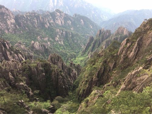 黄山历年3月份天气?黄山3月份气温多少-图3 黄山历年3月份天气?黄山3月份气温多少-图3