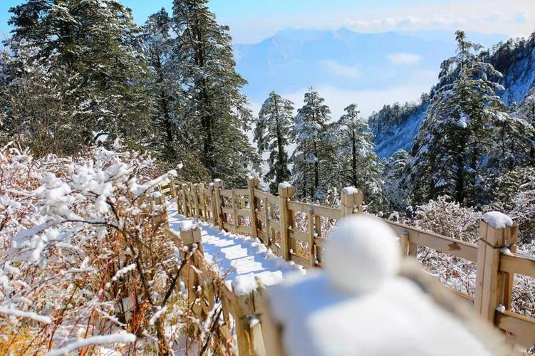 西岭雪山避暑包吃住价格?3月西岭雪山温度多少-图2 西岭雪山避暑包吃住价格?3月西岭雪山温度多少-图2