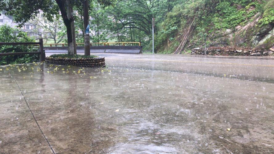 丽水为什么一直下雨?丽水一年有多少天下雨-图3 丽水为什么一直下雨?丽水一年有多少天下雨-图3