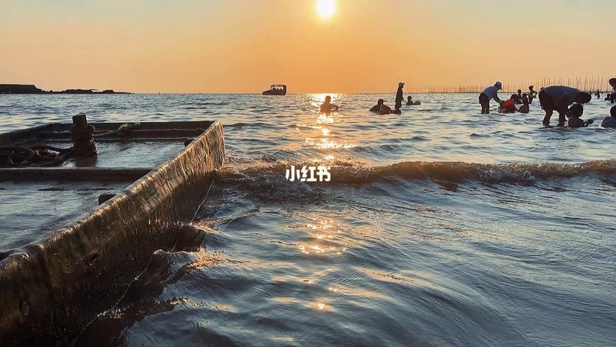 湛江遂溪哪里赶海?遂溪距草潭镇多少公里-图3 湛江遂溪哪里赶海?遂溪距草潭镇多少公里-图3