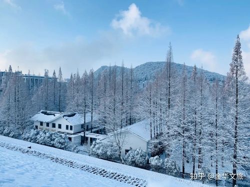 金华一闪一闪亮晶晶有下雪场吗?金华的冬天最冷多少度-图1 金华一闪一闪亮晶晶有下雪场吗?金华的冬天最冷多少度-图1