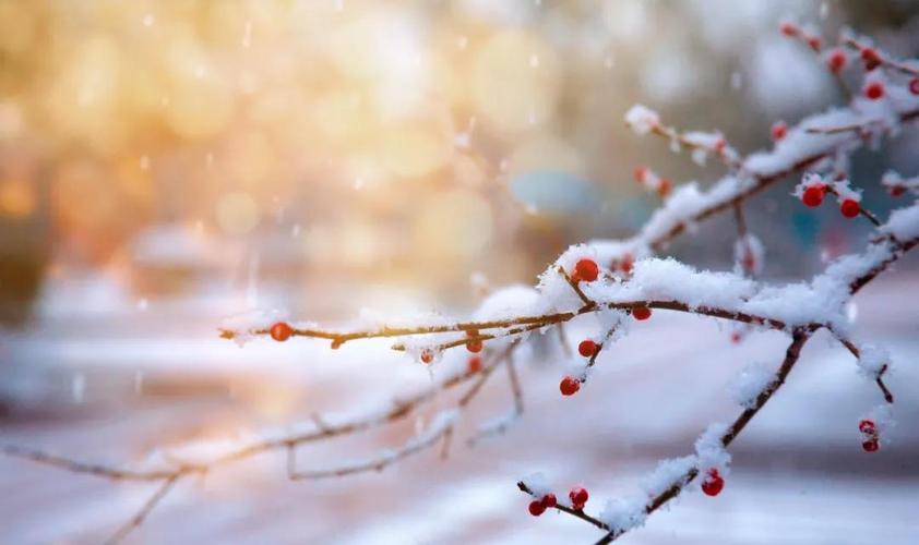 金华一闪一闪亮晶晶有下雪场吗?金华的冬天最冷多少度-图2 金华一闪一闪亮晶晶有下雪场吗?金华的冬天最冷多少度-图2
