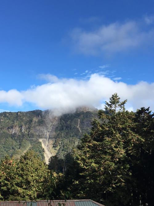 阿里山的准确高度是多少?阿里山上温度有多少-图2 阿里山的准确高度是多少?阿里山上温度有多少-图2