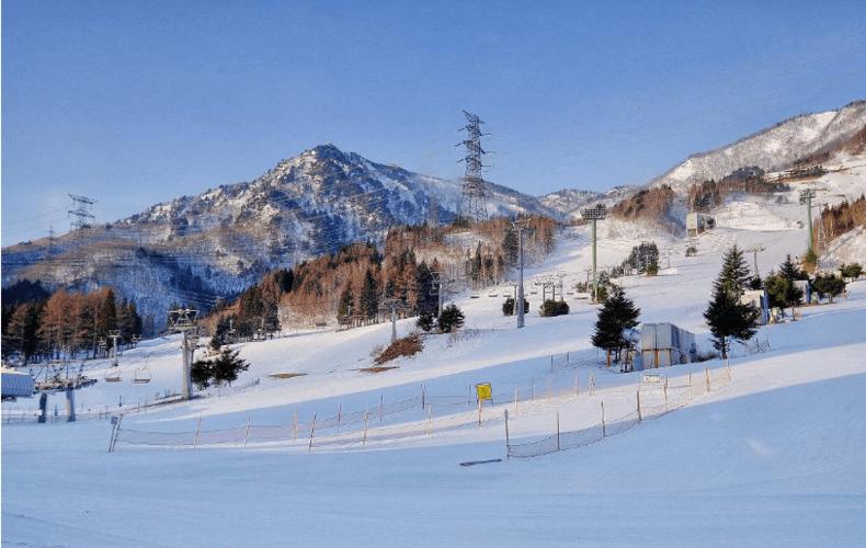 北海道和东北哪个冷?北海道冬天温度多少-图3 北海道和东北哪个冷?北海道冬天温度多少-图3