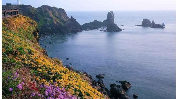 济州岛一年四季的气候与温度分别是什么?韩国夏天温度是多少-图2 济州岛一年四季的气候与温度分别是什么?韩国夏天温度是多少-图2