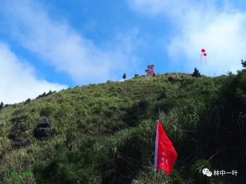 大芹山可以开车上去吗?平和崎岭海拔多少米-图1 大芹山可以开车上去吗?平和崎岭海拔多少米-图1