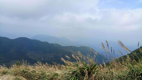 大芹山可以开车上去吗?平和崎岭海拔多少米-图3 大芹山可以开车上去吗?平和崎岭海拔多少米-图3