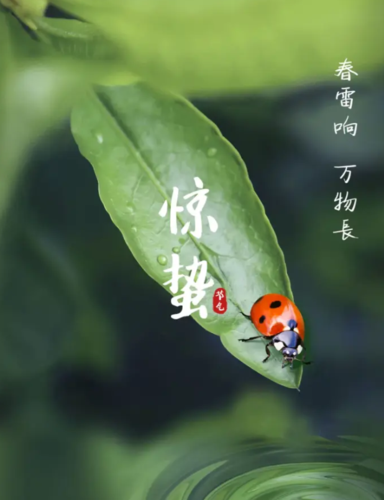惊蛰气温多少度?一般情况惊蛰的气温在多少-图2 惊蛰气温多少度?一般情况惊蛰的气温在多少-图2