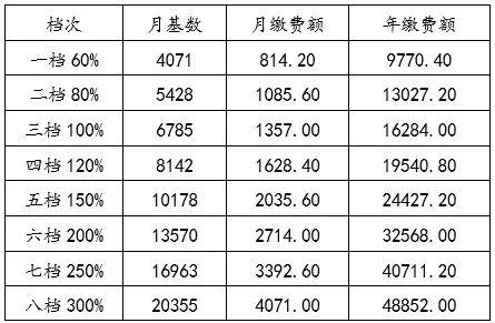 2021年内江个体医保交费多少?内江气费多少钱一个月-图2 2021年内江个体医保交费多少?内江气费多少钱一个月-图2
