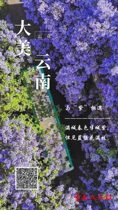 春城文案?昆明市穿城多少公里-图2 春城文案?昆明市穿城多少公里-图2