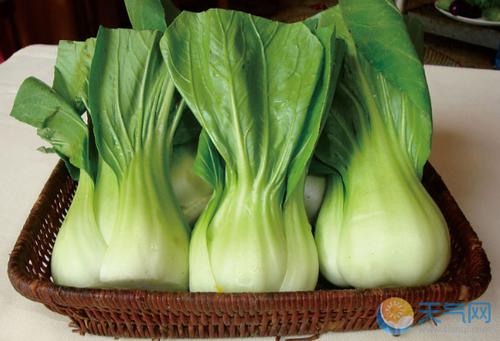 上海青生长适宜温度?上海一般三月温度多少-图2 上海青生长适宜温度?上海一般三月温度多少-图2