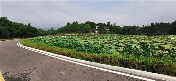 铜梁乘啥子车可以到石鱼花果山?石鱼到铜梁车票多少钱-图3 铜梁乘啥子车可以到石鱼花果山?石鱼到铜梁车票多少钱-图3