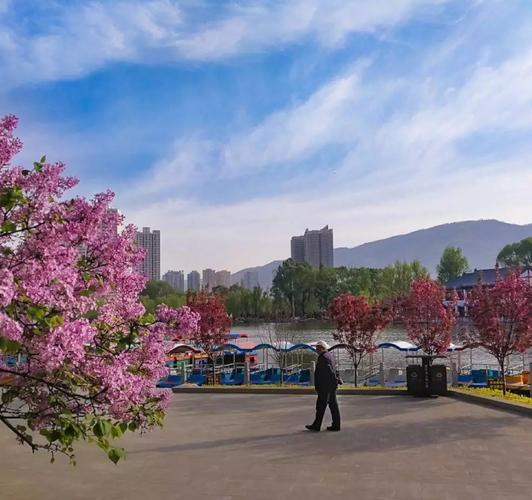 五一去西宁合适吗?西宁春天多少度-图3 五一去西宁合适吗?西宁春天多少度-图3