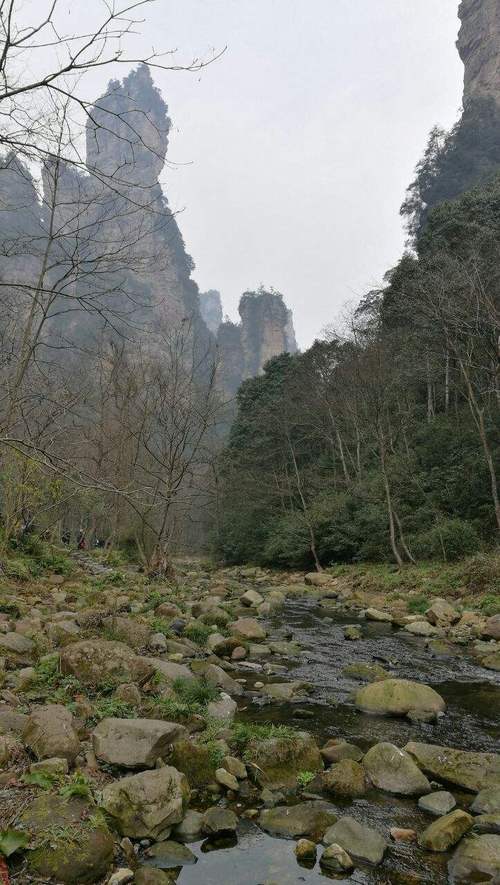 张家界山顶10月中旬冷吗?张家界一年四季天气温度是多少-图3 张家界山顶10月中旬冷吗?张家界一年四季天气温度是多少-图3
