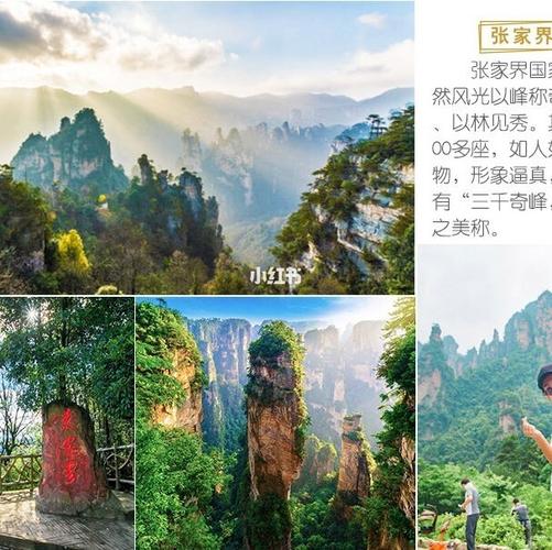 三月份去张家界旅游的注意事项?三月份去张家界多少度-图3 三月份去张家界旅游的注意事项?三月份去张家界多少度-图3