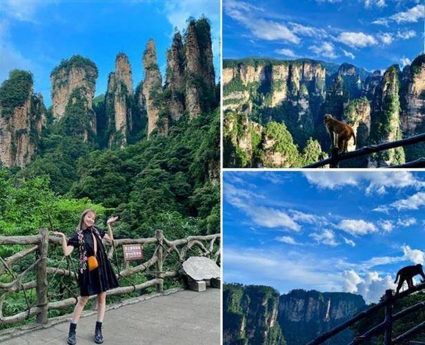 三月份去张家界旅游的注意事项?三月份张家界多少度-图3 三月份去张家界旅游的注意事项?三月份张家界多少度-图3