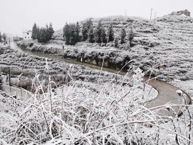 毕节什么时候下雪?请问明天毕节气温多少度-图3 毕节什么时候下雪?请问明天毕节气温多少度-图3