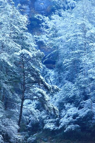 武夷山会下雪吗?今天武夷山的温度是多少-图2 武夷山会下雪吗?今天武夷山的温度是多少-图2