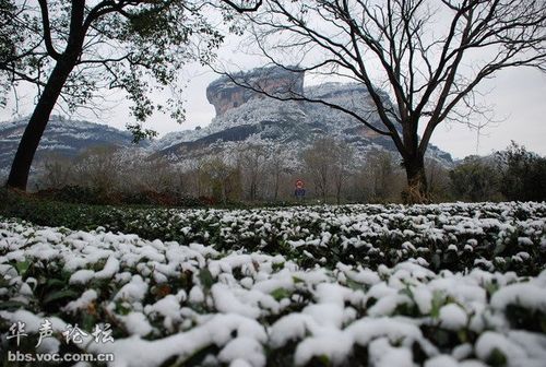 武夷山会下雪吗?今天武夷山的温度是多少-图3 武夷山会下雪吗?今天武夷山的温度是多少-图3