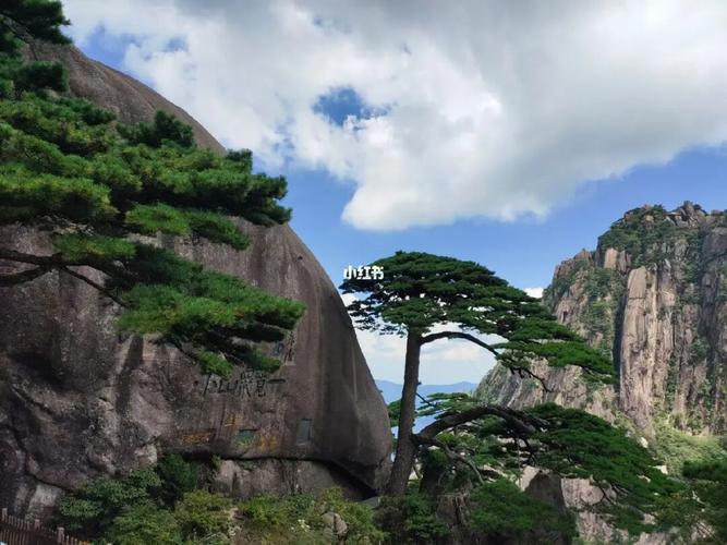 黄山景区天气实时预报?3月黄山温度多少时间-图2 黄山景区天气实时预报?3月黄山温度多少时间-图2