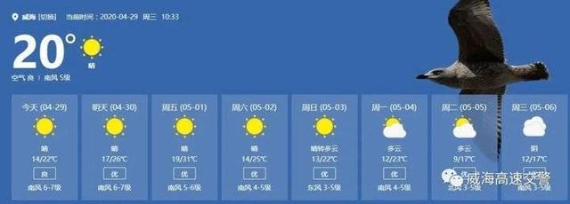 五一去威海冷吗?山东威海五月份气温多少度-图3 五一去威海冷吗?山东威海五月份气温多少度-图3