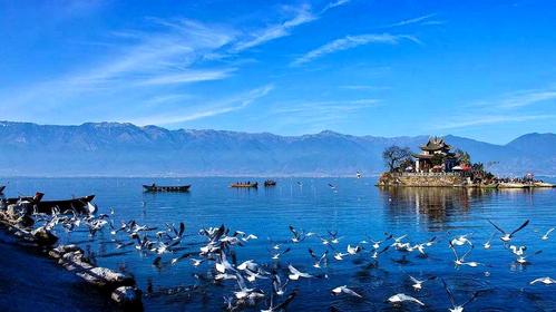 大理洱海夏天温度?大理洱海温度多少度-图3 大理洱海夏天温度?大理洱海温度多少度-图3