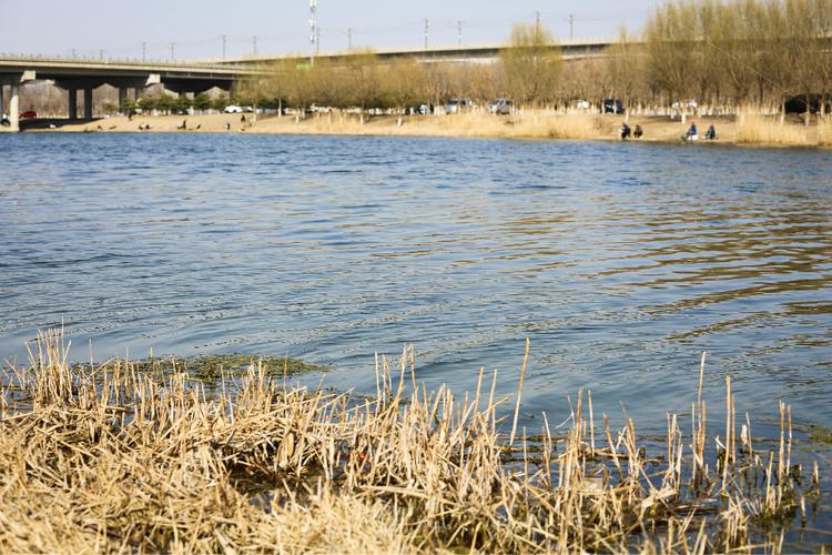房山小清河湿地公园怎么样?房山空气质量是多少-图1 房山小清河湿地公园怎么样?房山空气质量是多少-图1