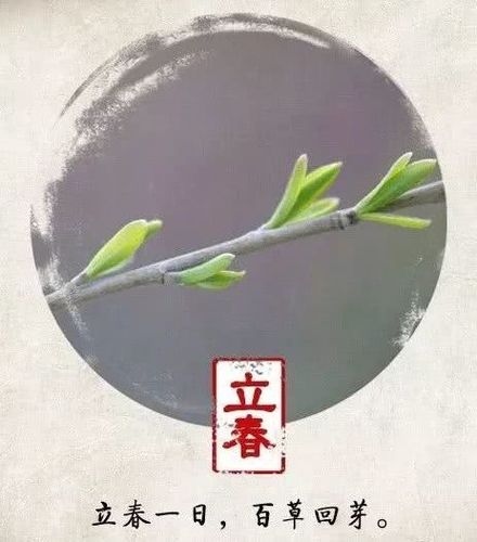 沧州立春温度?沧州3月30日的温度是多少钱-图3 沧州立春温度?沧州3月30日的温度是多少钱-图3