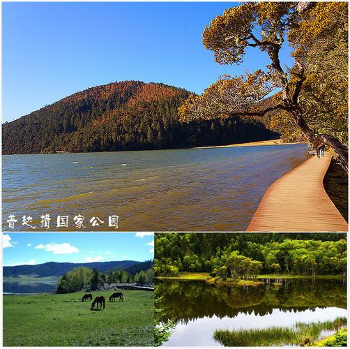 云杉坪五月冷吗?五月份的西双版纳多少度-图3 云杉坪五月冷吗?五月份的西双版纳多少度-图3