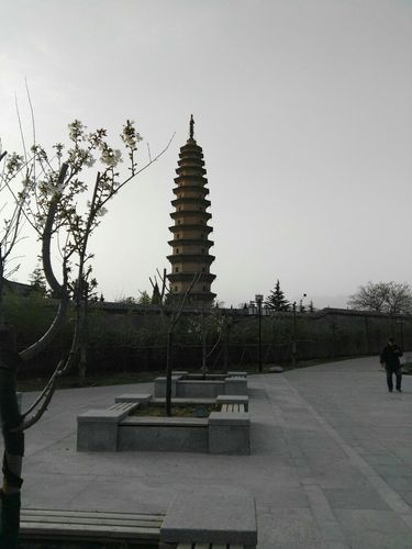 芮城特产有什么？山西运城芮城今天天气多少度-图2