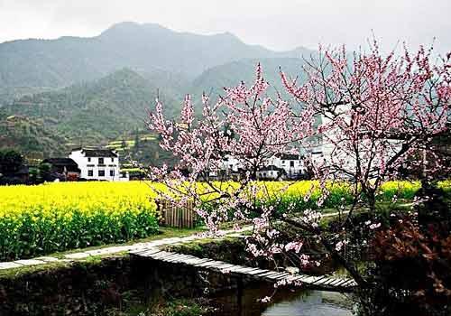 桃园属于哪个省市地区?湖南省桃源县今天多少度-图3 桃园属于哪个省市地区?湖南省桃源县今天多少度-图3