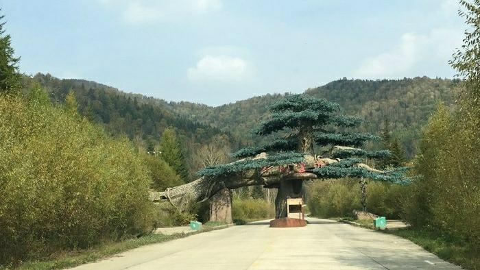 五常凤凰山旅游住宿攻略?五常今天气温多少度-图3 五常凤凰山旅游住宿攻略?五常今天气温多少度-图3