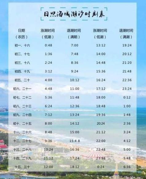 电白八月赶海时间?今天电白的天气是多少度-图1 电白八月赶海时间?今天电白的天气是多少度-图1