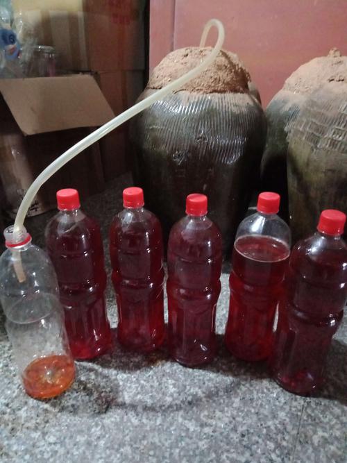 酿青红酒的最佳气温?4月古田温度多少-图3 酿青红酒的最佳气温?4月古田温度多少-图3