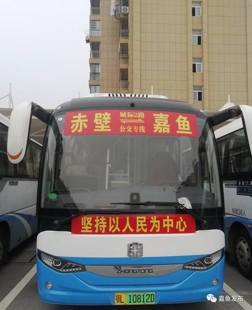 70一80年的樟树怎么弄死?嘉鱼客运站到高铁岭镇公交多少钱-图1 70一80年的樟树怎么弄死?嘉鱼客运站到高铁岭镇公交多少钱-图1