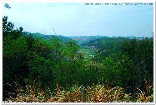 丰城哪里的景色美,哪里有山爬?丰城到蕉坑多少公里-图1 丰城哪里的景色美,哪里有山爬?丰城到蕉坑多少公里-图1