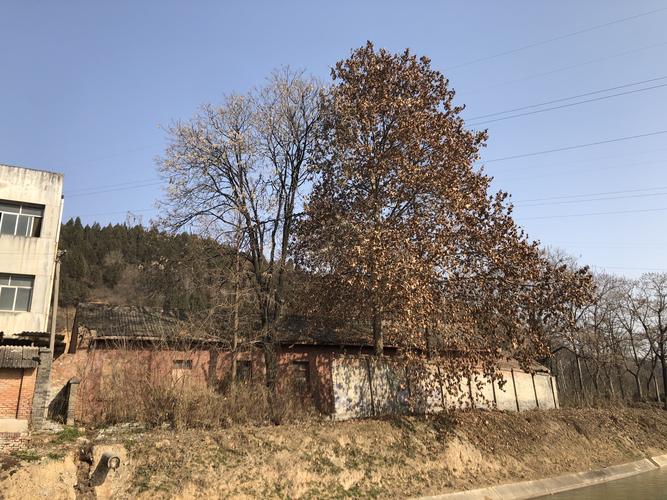 绛帐是哪里?扶风绛帐到成都市多少公里-图2 绛帐是哪里?扶风绛帐到成都市多少公里-图2