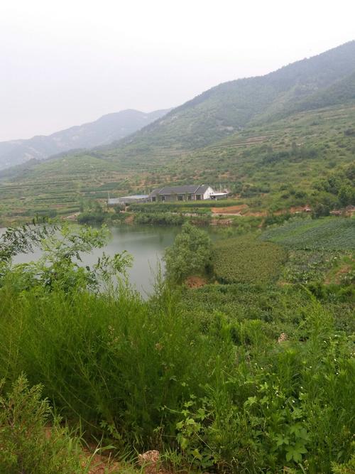 浙江温岭的发展历史?山东莒县峤山人口多少-图3 浙江温岭的发展历史?山东莒县峤山人口多少-图3