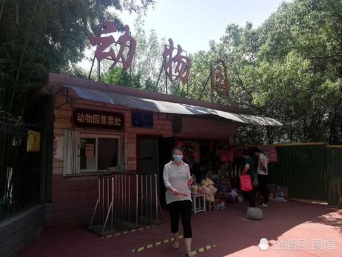 三门峡有动物园吗?动物公园三门峡门票多少-图1 三门峡有动物园吗?动物公园三门峡门票多少-图1