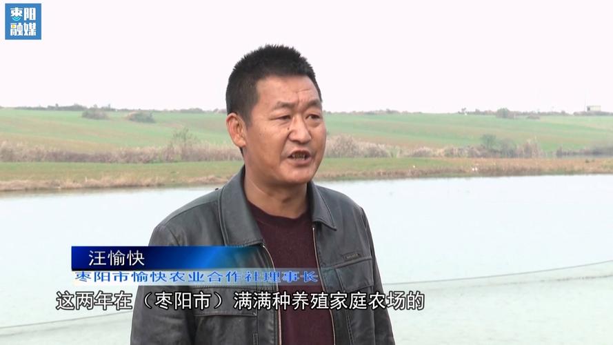 襄樊枣阳的市区面积有多大?青龙山农场有多少人口-图1 襄樊枣阳的市区面积有多大?青龙山农场有多少人口-图1