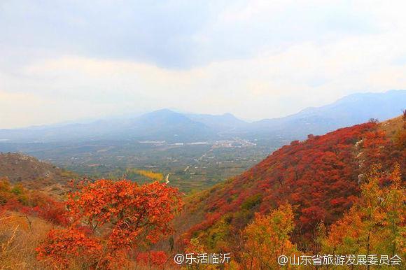 临沂红叶山景区最佳时间?临沂红叶谷门票多少钱-图3 临沂红叶山景区最佳时间?临沂红叶谷门票多少钱-图3