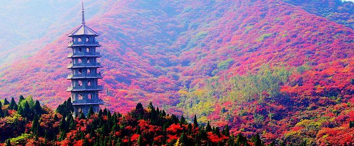 临沂红叶山景区最佳时间?临沂红叶谷门票多少钱-图2 临沂红叶山景区最佳时间?临沂红叶谷门票多少钱-图2