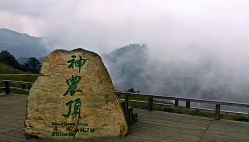 夏天神农架旅游攻略?神农架夏天气温多少度-图2 夏天神农架旅游攻略?神农架夏天气温多少度-图2