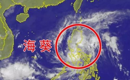 达维海葵是真的吗?12年台风达维多少级-图1 达维海葵是真的吗?12年台风达维多少级-图1