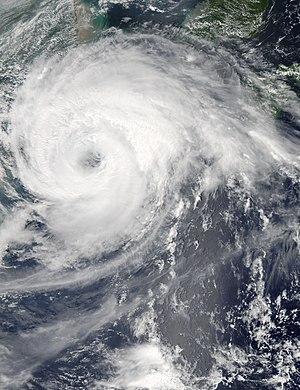 达维海葵是真的吗?12年台风达维多少级-图3 达维海葵是真的吗?12年台风达维多少级-图3