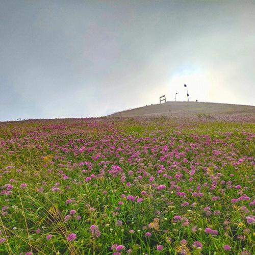 小韭菜坪和大韭菜坪哪个好玩?六盘水站打的到小韭菜坪多少钱-图3 小韭菜坪和大韭菜坪哪个好玩?六盘水站打的到小韭菜坪多少钱-图3