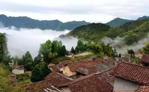 黔南州有哪些县市?丽水三都乡海拔多少-图2 黔南州有哪些县市?丽水三都乡海拔多少-图2